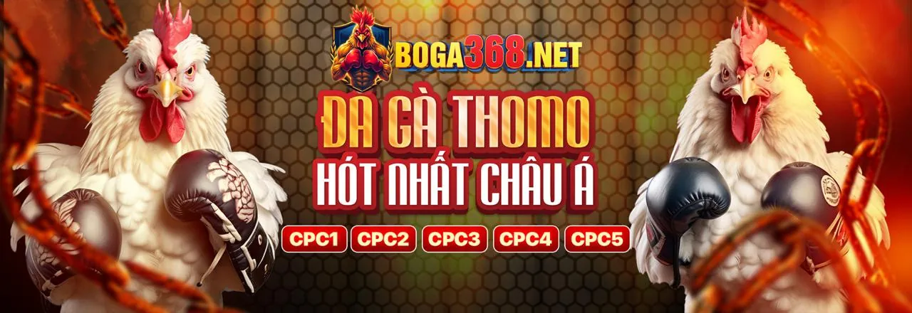 Ưu điểm vượt trội của nền tảng 02tr88 nhà cái