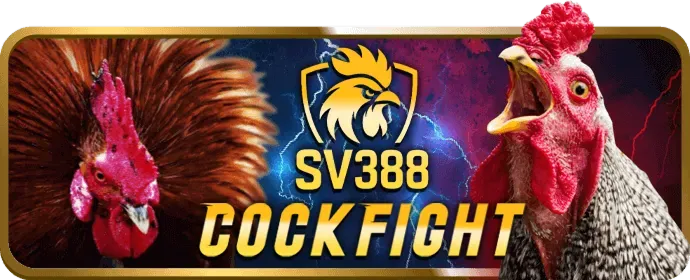 Giải Đấu Slot Hàng Tuần